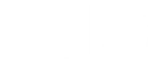 N10 Logo